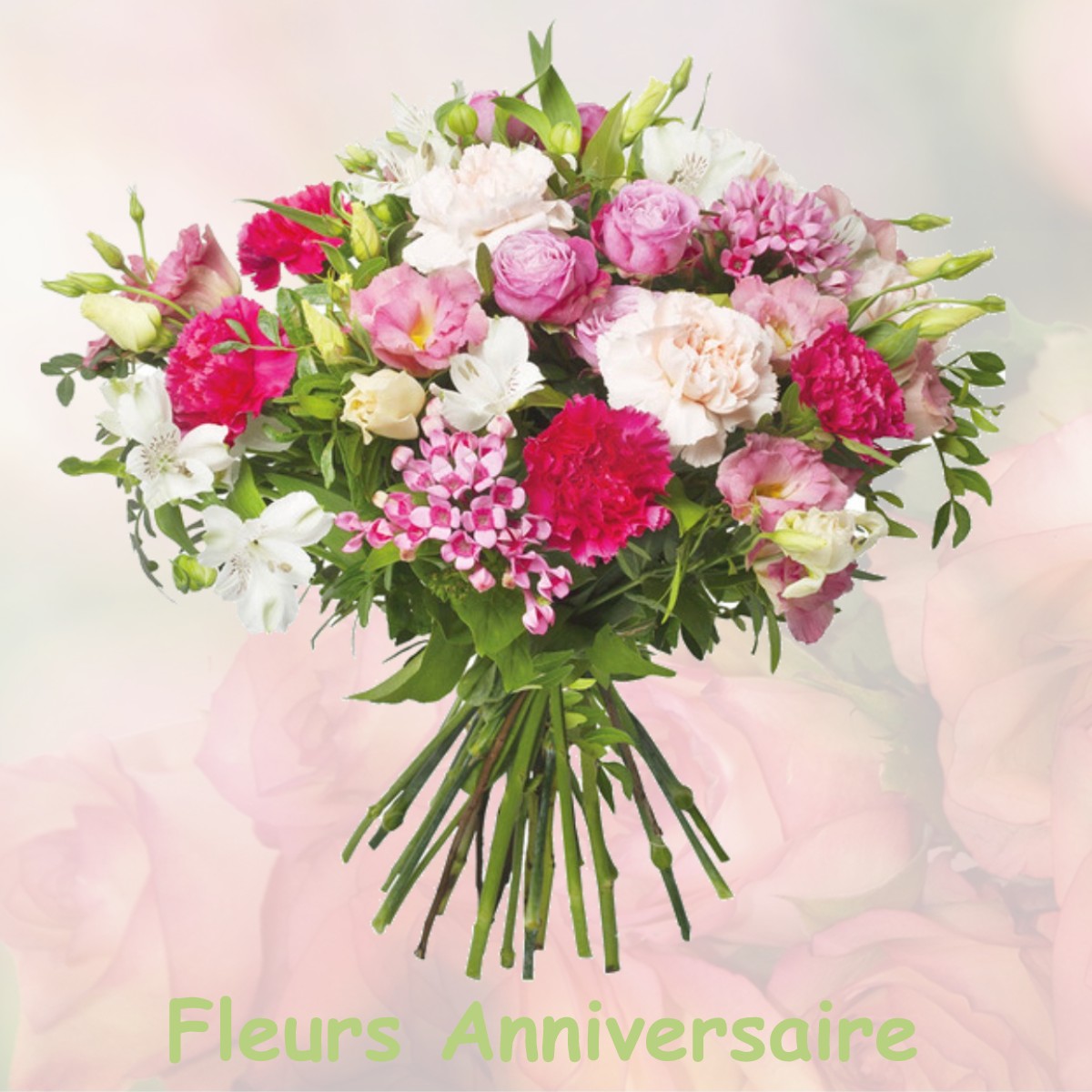 fleurs anniversaire SAINT-SULPICE-LE-GUERETOIS